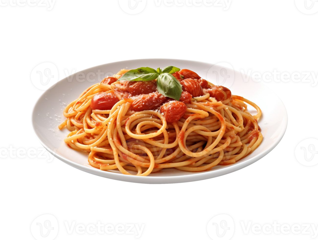 plate of spaghetti png