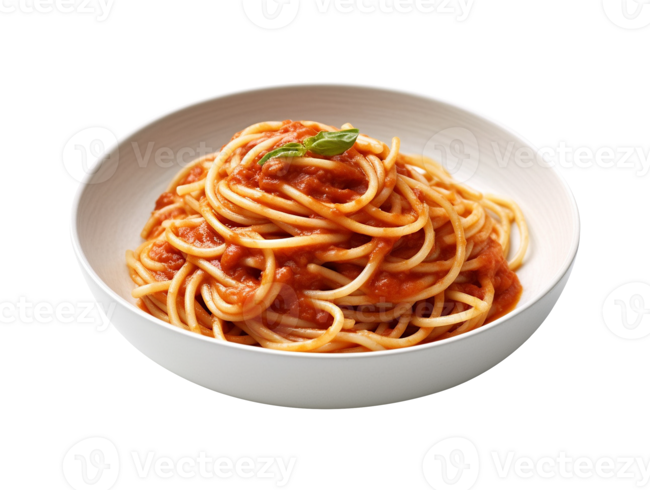 plate of spaghetti png
