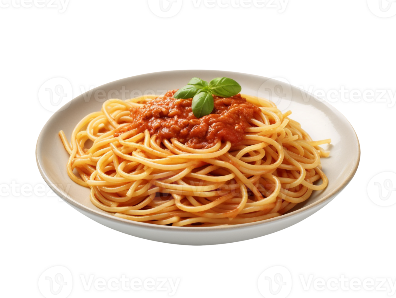 plate of spaghetti 46805367 PNG