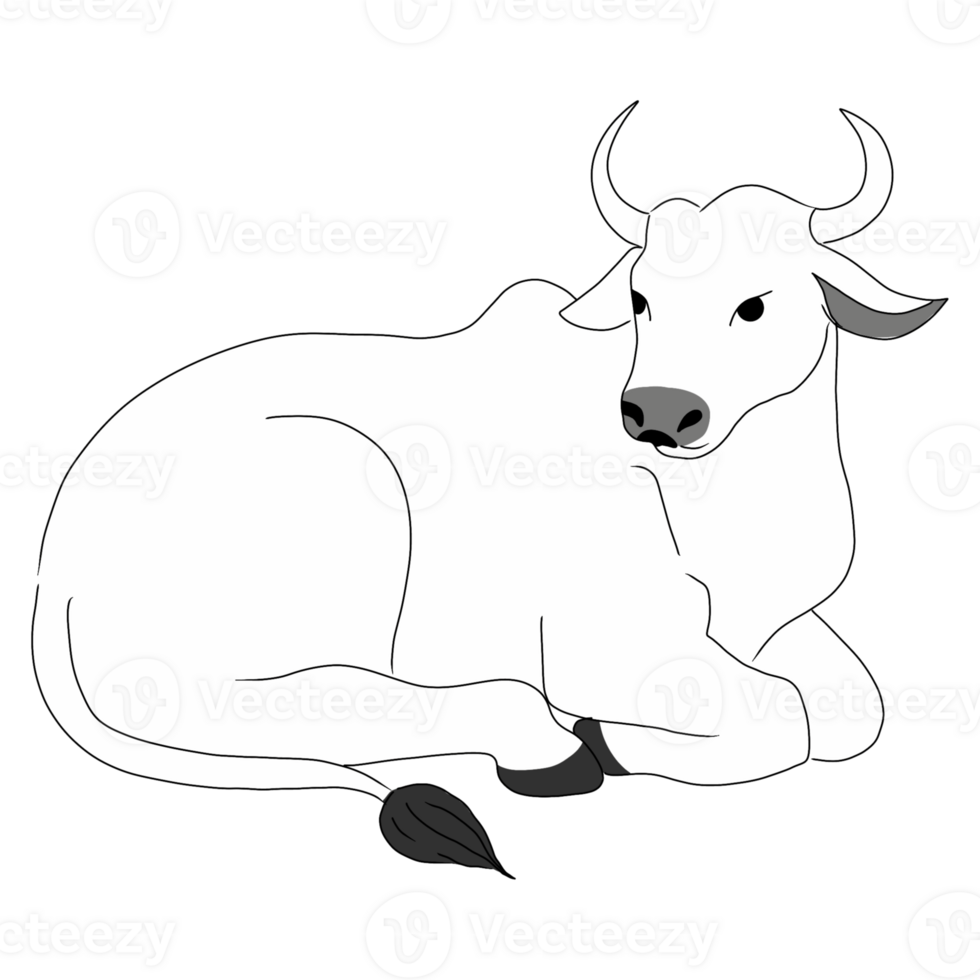 White cow illustration png