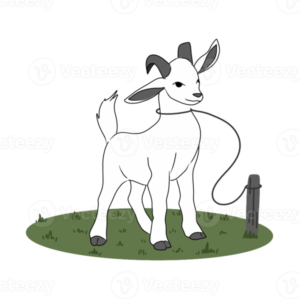 A goat for eid adha illustration png
