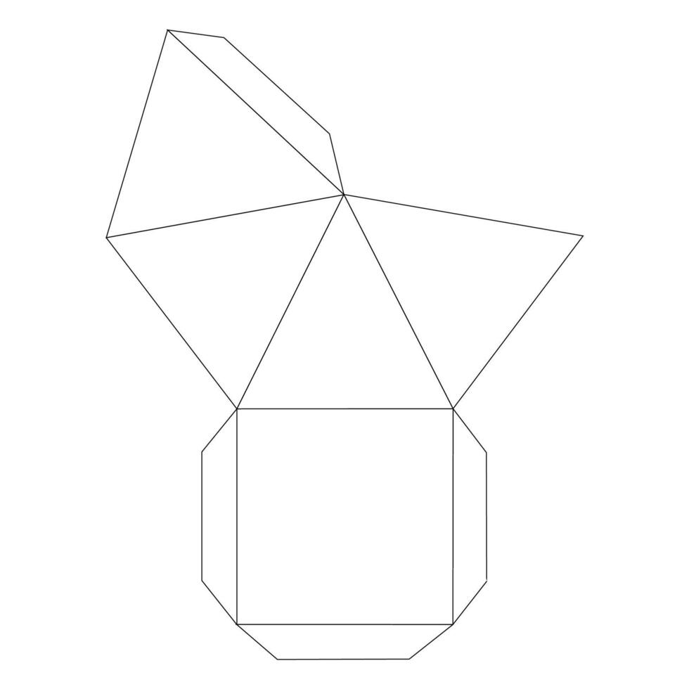 Geometric Printable Packaging Template vector