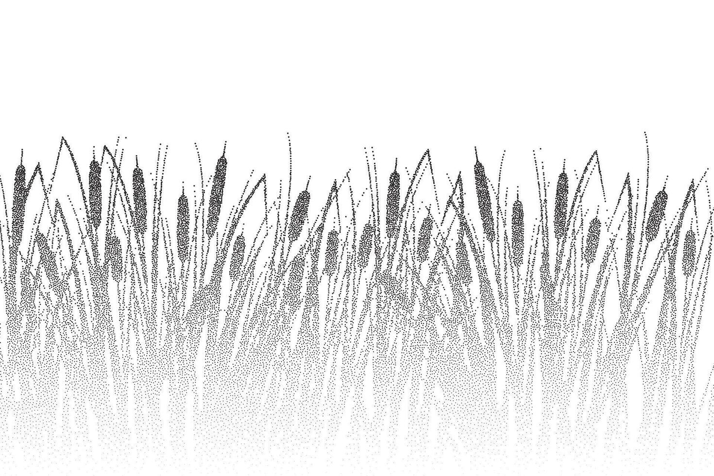 Grass reed stipple silhouette. Swamp cattail plants over water, dotted river marsh landscape with shadow. vector