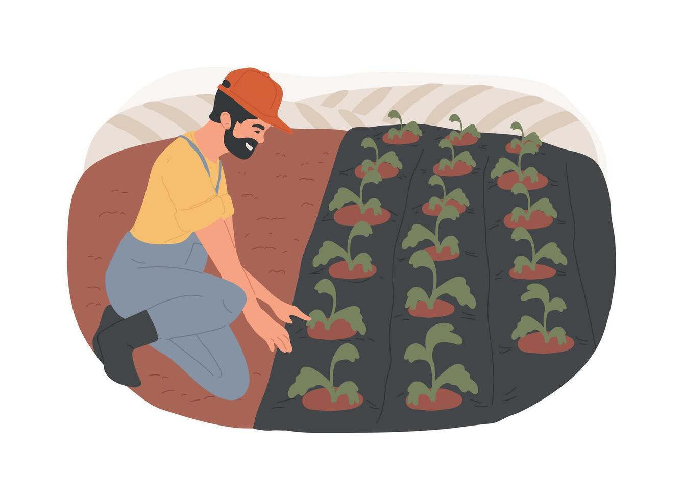 Synthetic mulches isolated cartoon illustrations. vector