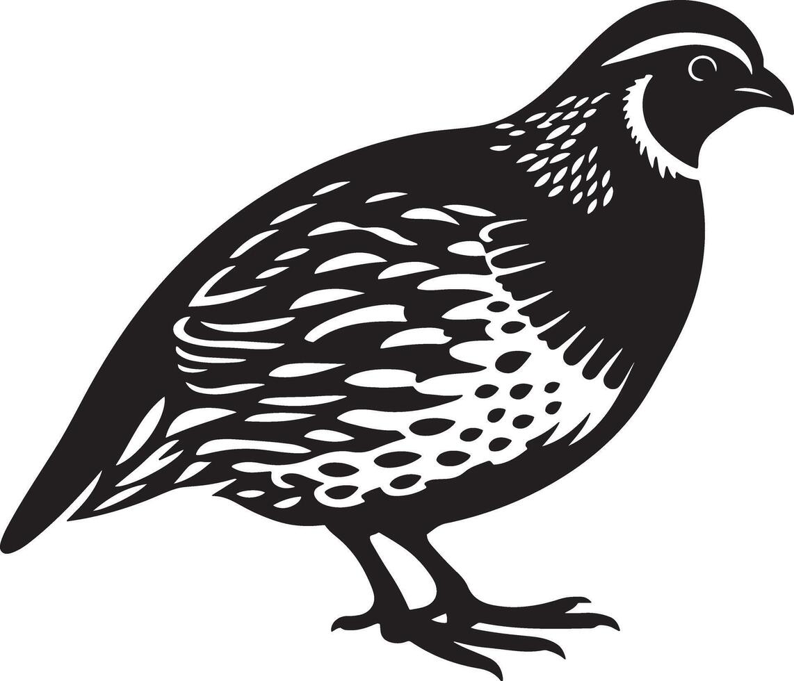 Quail bird silhouette illustration. vector