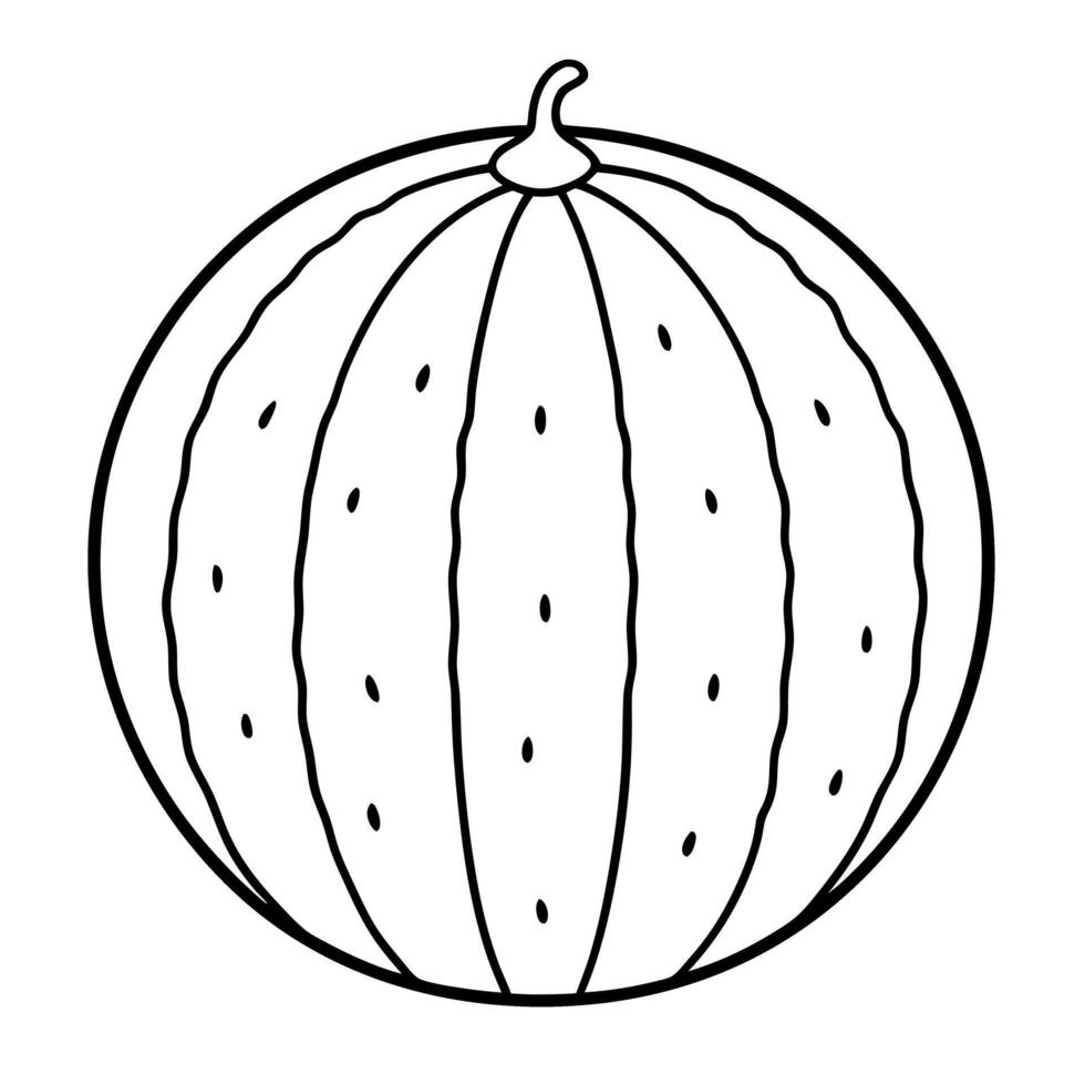 illustration of a watermelon vector