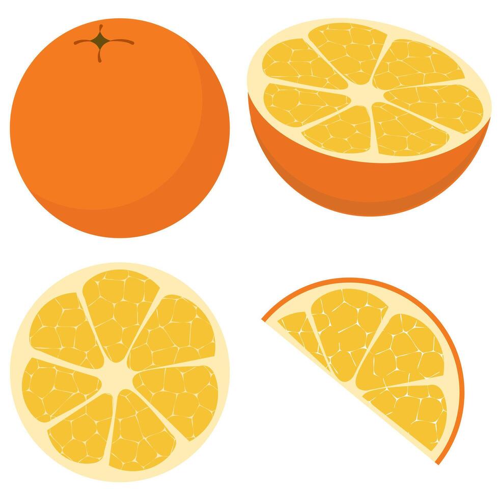 Healthy oranges fresh fruit, whole, half, and quarter isolated on a white background vector