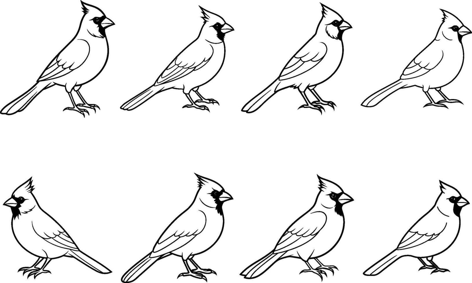 Cardinal bird sketch, illustration. Hand drawn vector