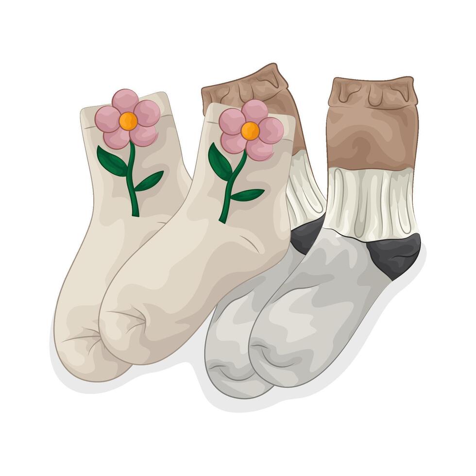 Illustration of women socks vector