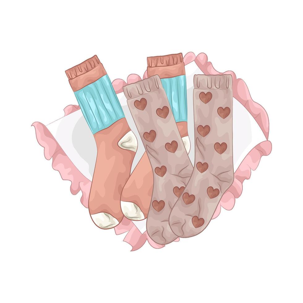 Illustration of women socks vector