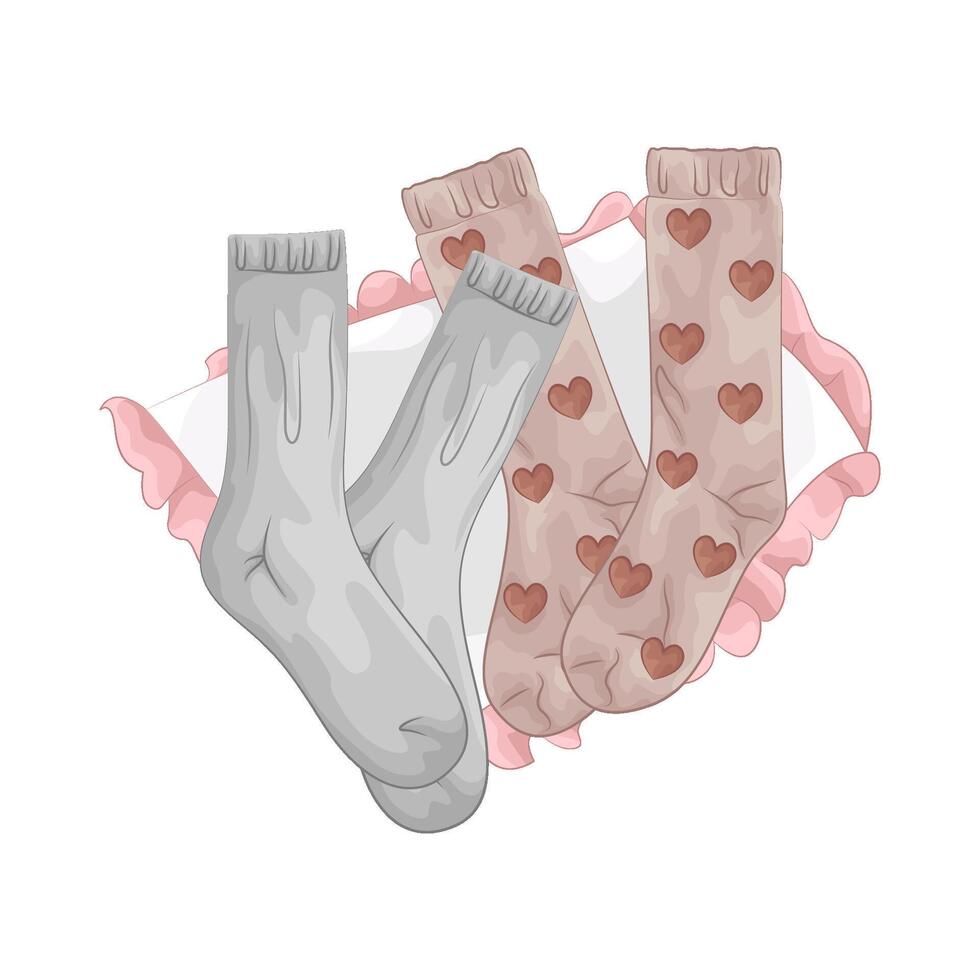 Illustration of women socks vector