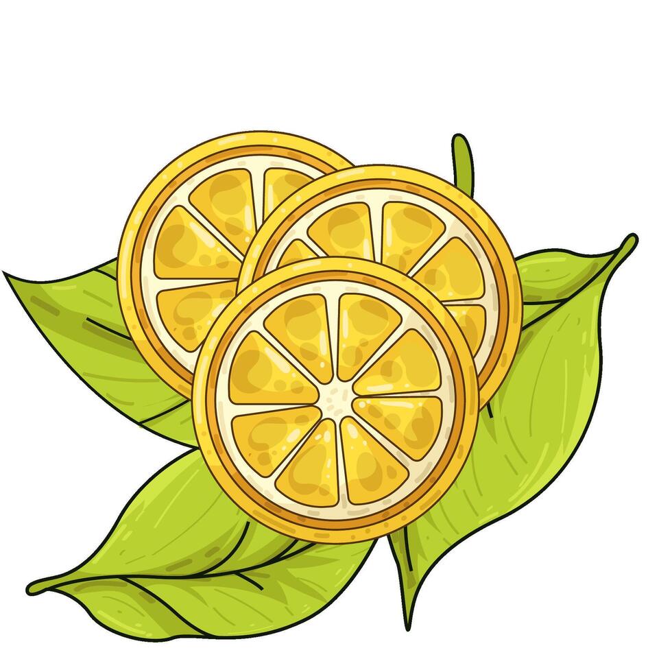 Illustration of lemon slice vector