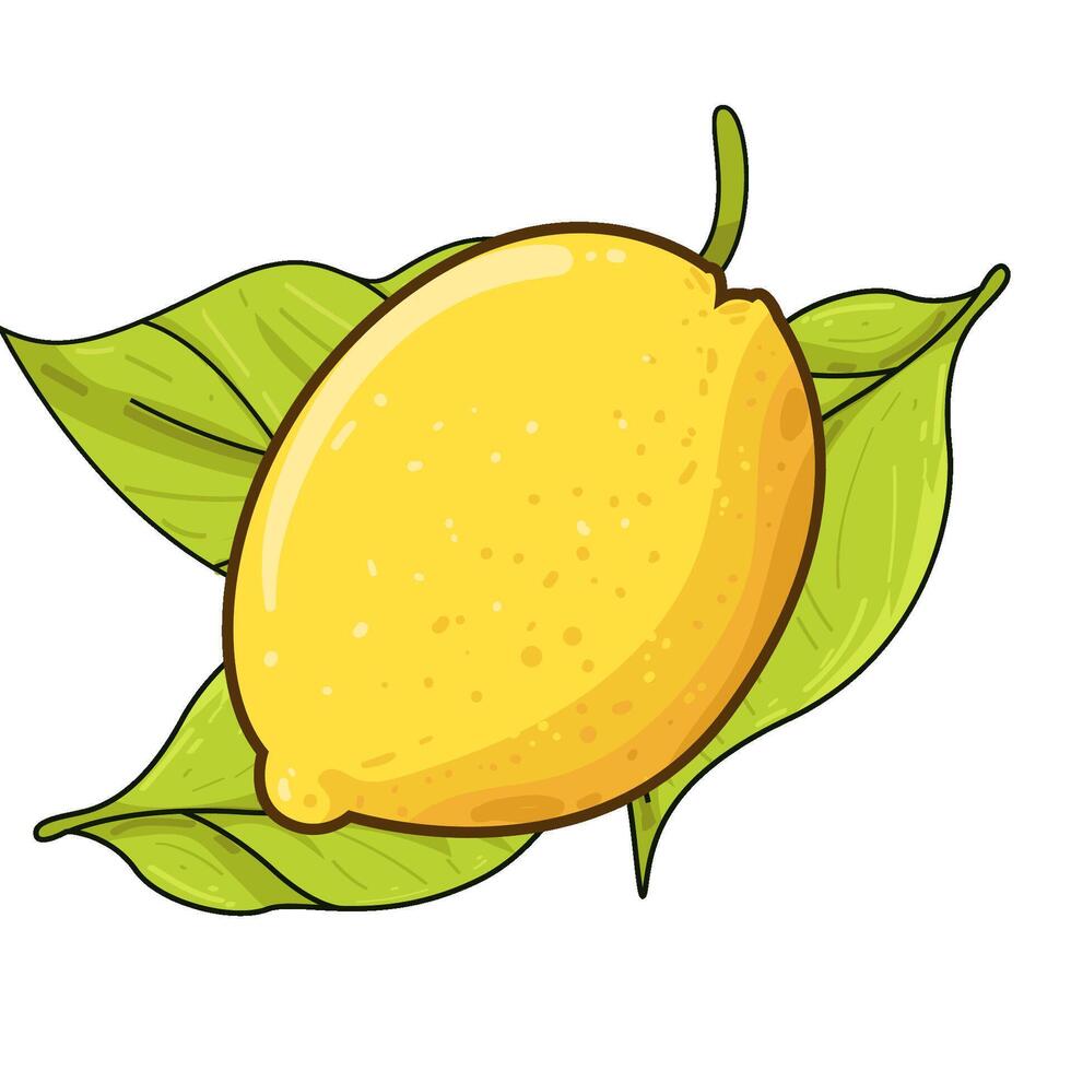 Illustration of lemon vector