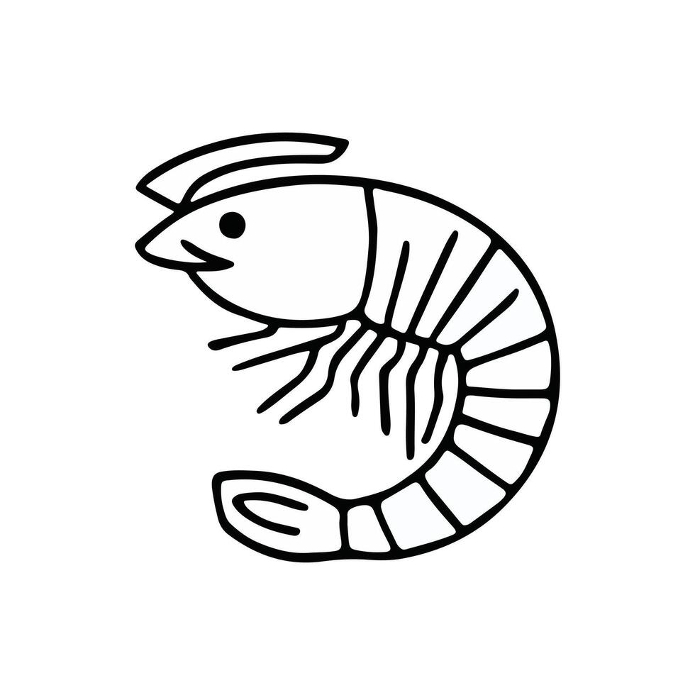 Cute Shrimp illustration White Background vector