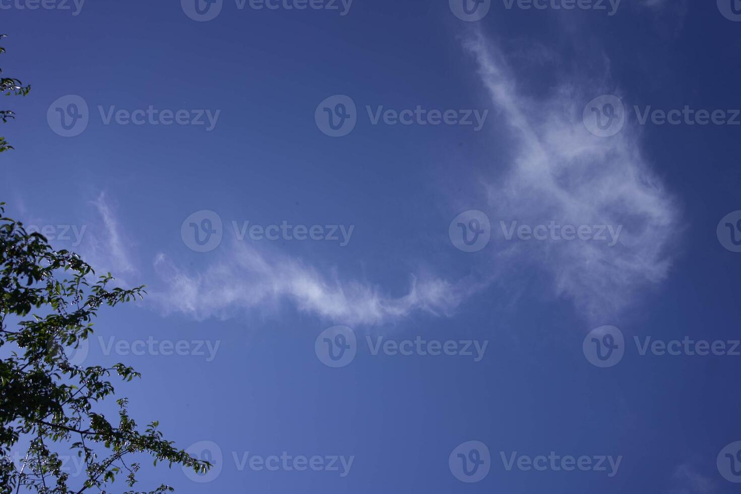 the sky on a summer day with white cirrus clouds photo