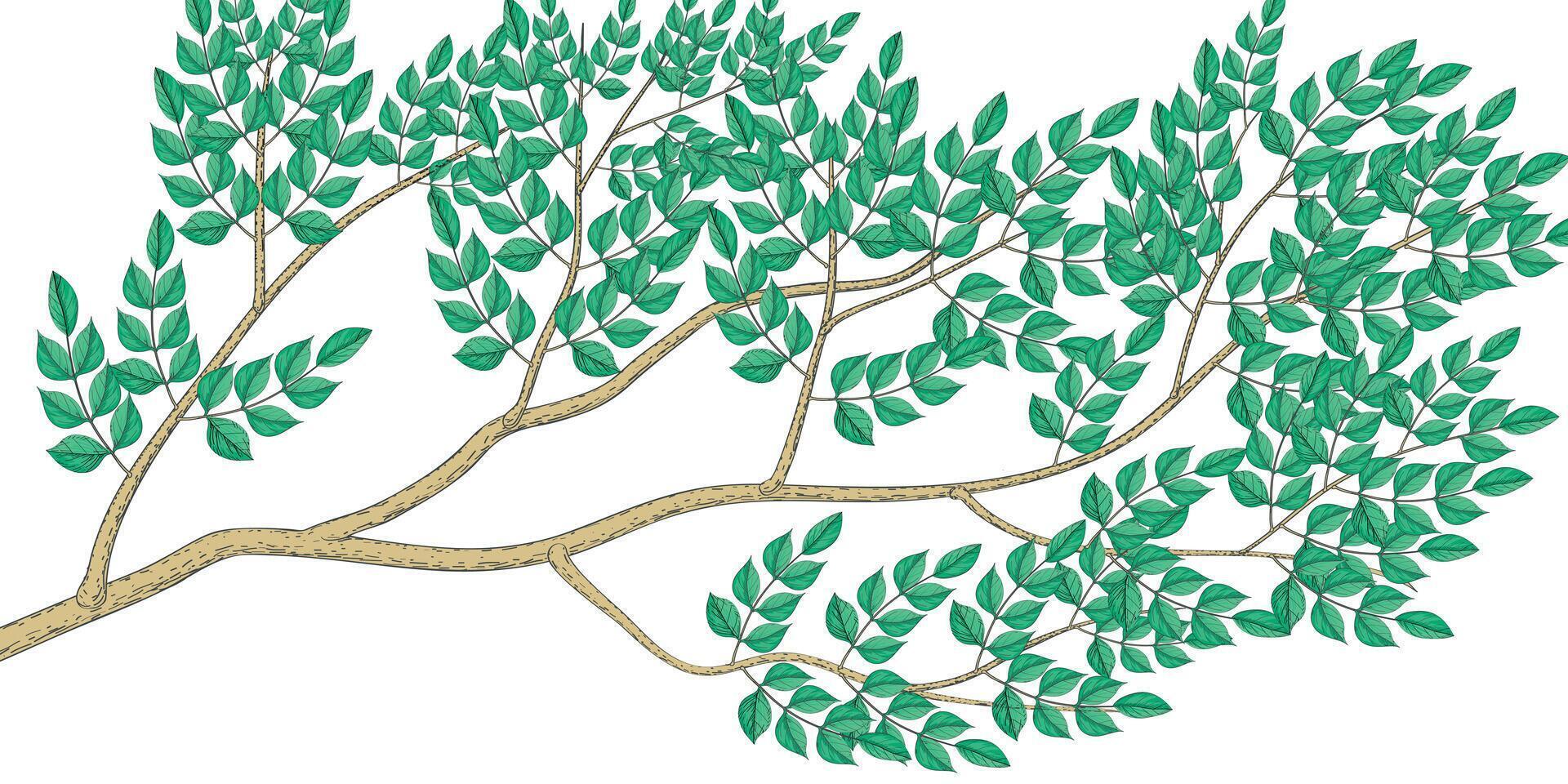 Tree with green leaves illustration style. Isolated on white background suitable for brochure, leaflet, booklet. vector