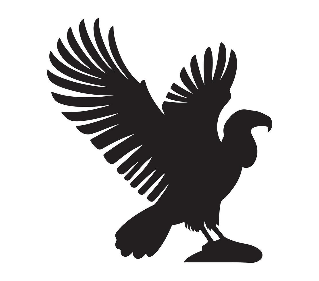 Andean Condor Black Silhouette on white background vector