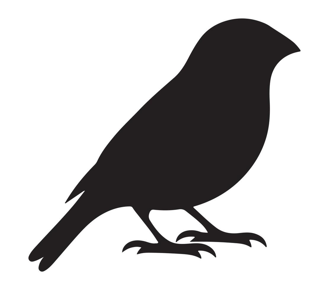African Firefinch Black Silhouette on white background vector