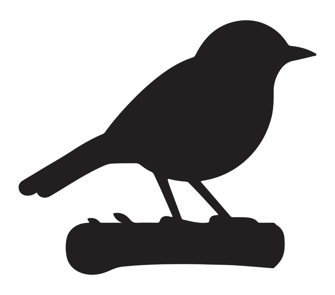 American Robin Black Silhouette on white background vector