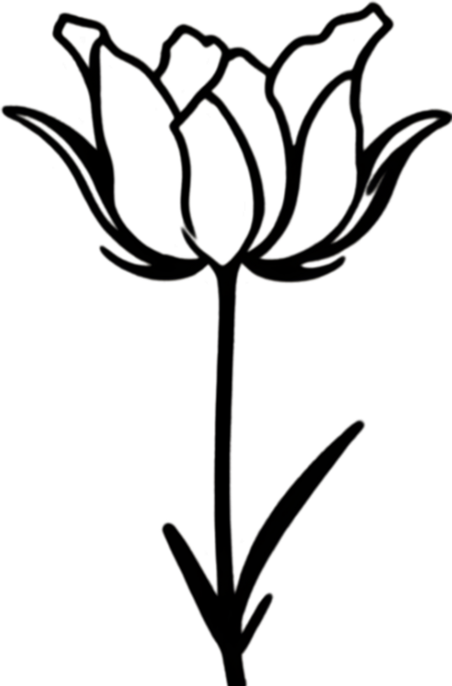 Charming tulip clipart adds spring vibes. AI-generated. png