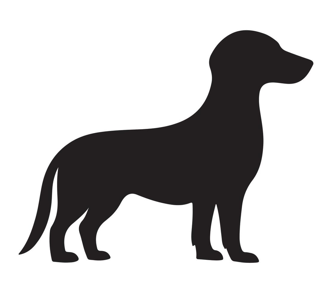 Alpine Dachsbracke Black Silhouette on white background vector