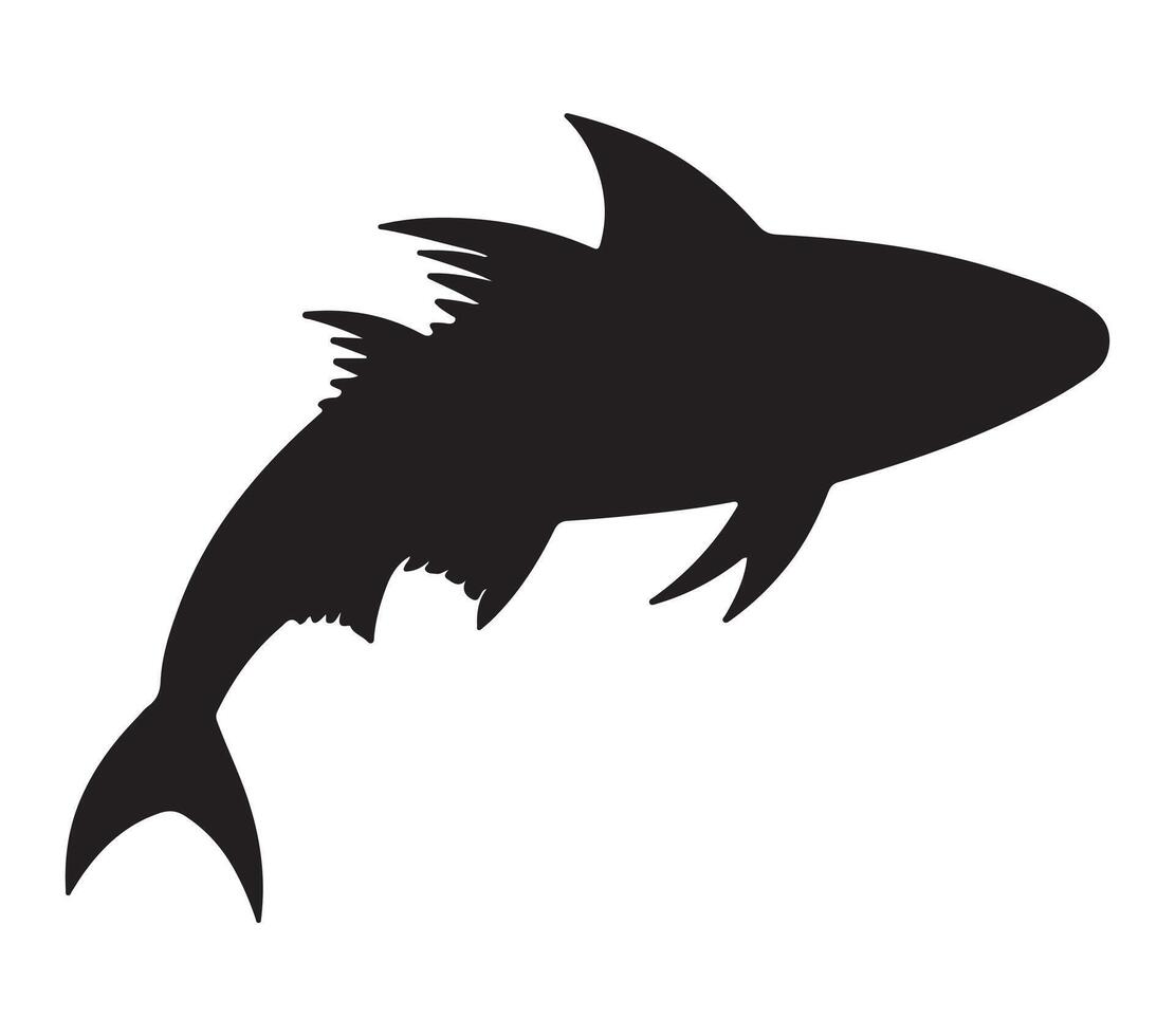 Amberjack Black Silhouette on white background vector