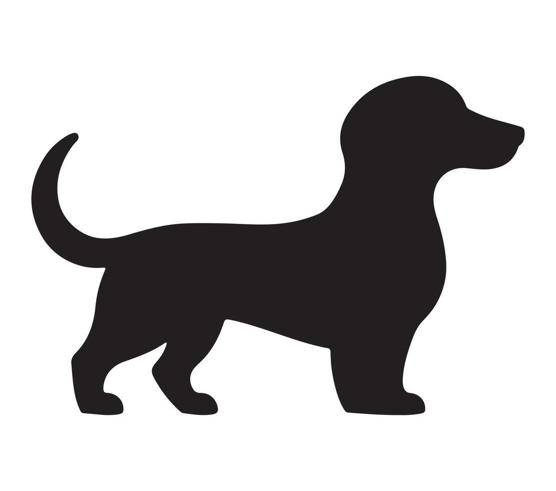 Alpine Dachsbracke Black Silhouette on white background vector