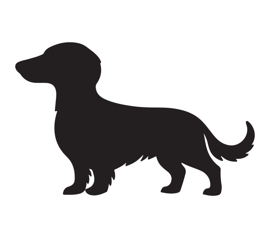 Alpine Dachsbracke Black Silhouette on white background vector