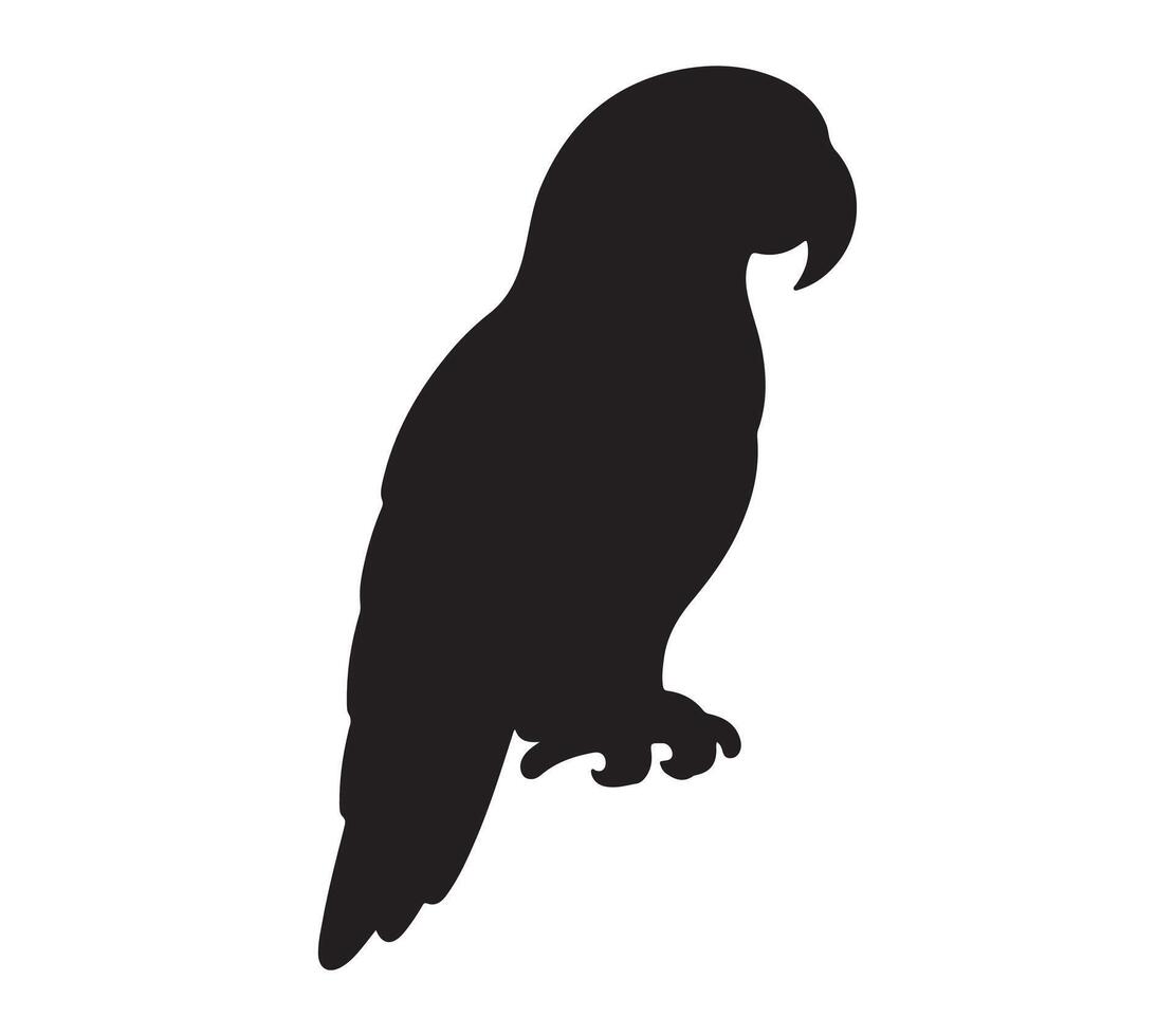 Amazon Parrot Black Silhouette on white background vector