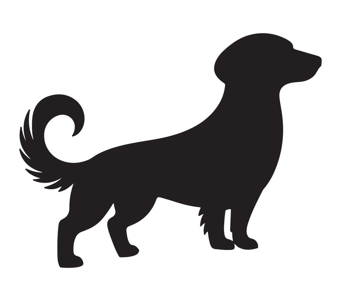 Alpine Dachsbracke Black Silhouette on white background vector