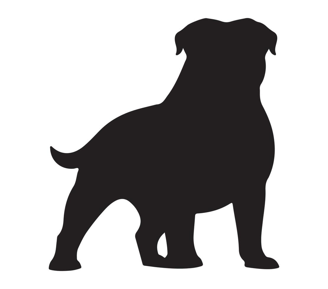 American Bulldog Black Silhouette on white background vector