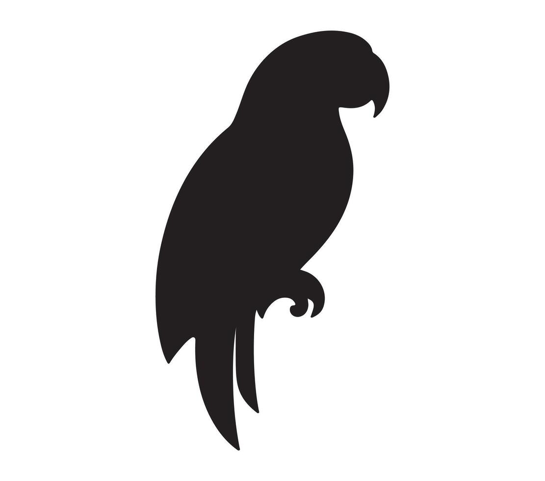 Amazon Parrot Black Silhouette on white background vector