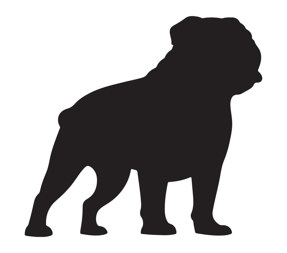 American Bulldog Black Silhouette on white background vector