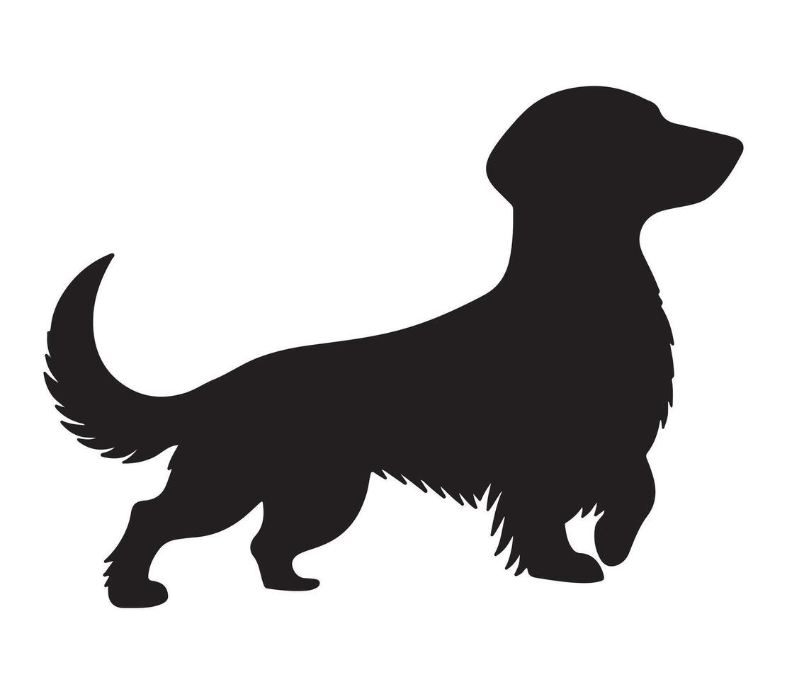 Alpine Dachsbracke Black Silhouette on white background vector