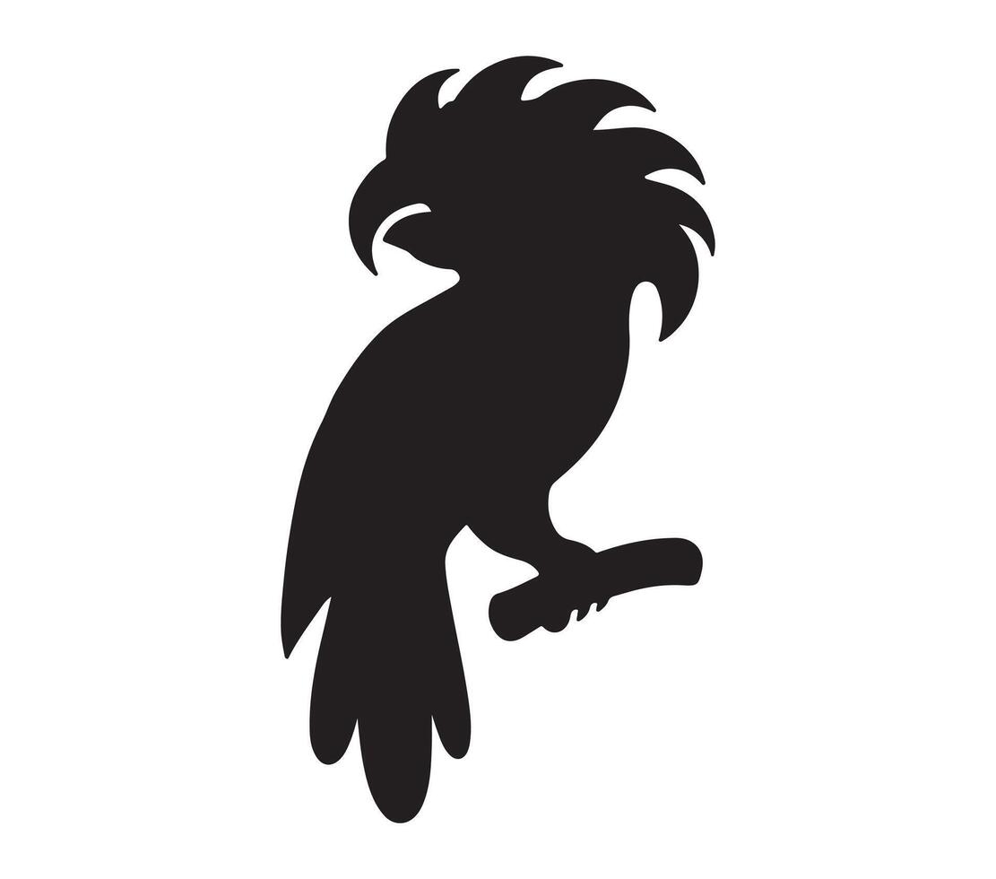 Amazon Parrot Black Silhouette on white background vector
