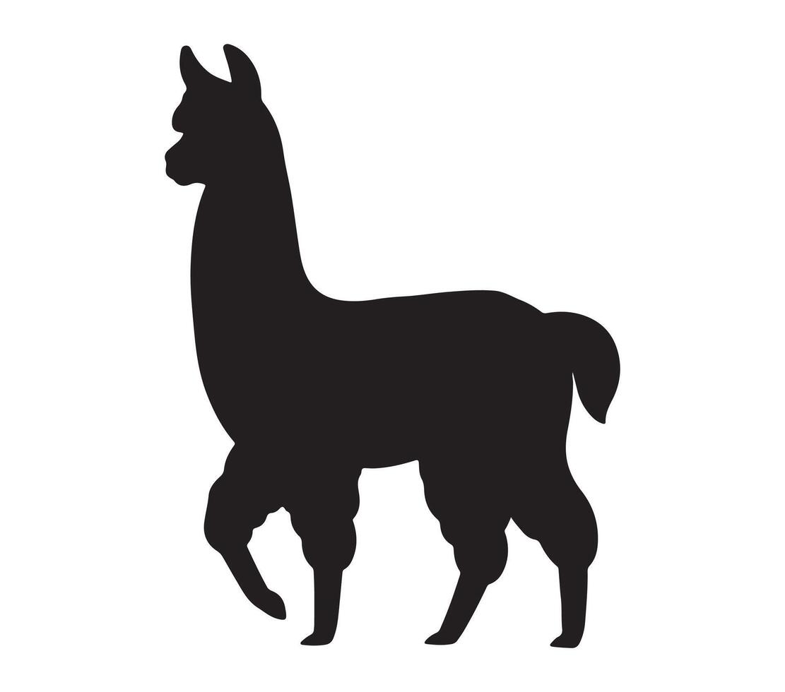 Alpaca Black Silhouette on white background vector