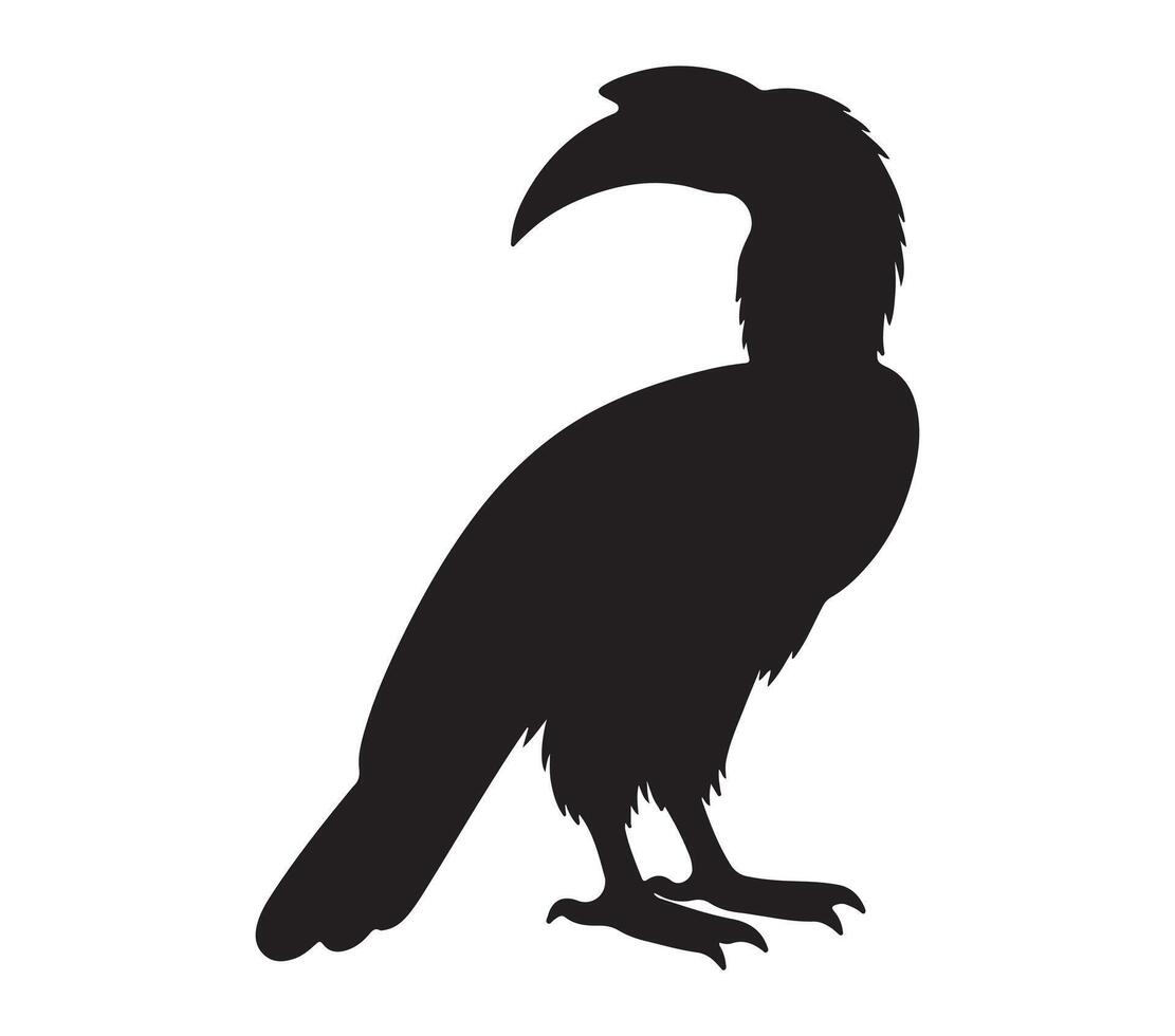 Abyssinian Ground Hornbill Black Silhouette on white background vector