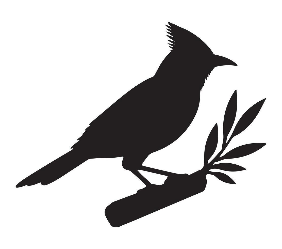 African Black-headed Oriole Black Silhouette on white background vector