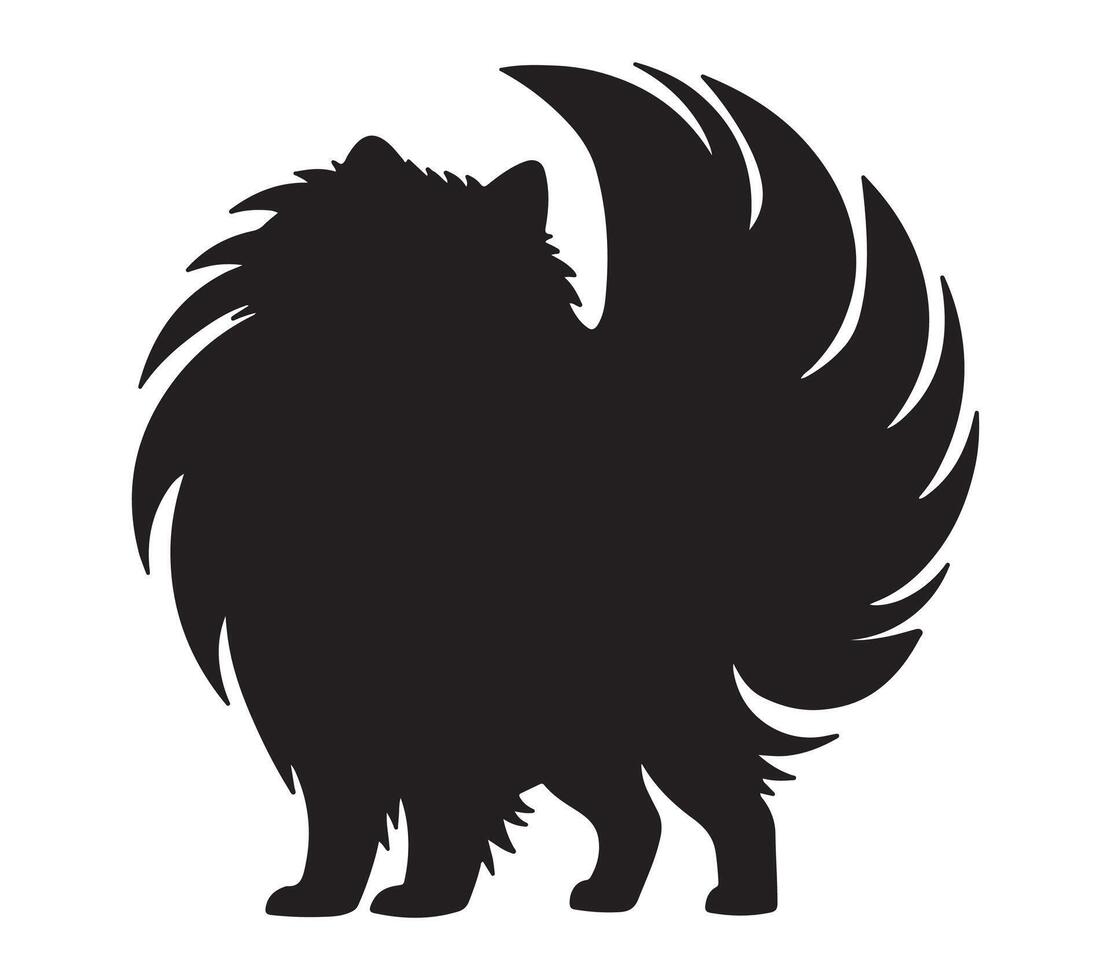 American Eskimo Black Silhouette on white background vector