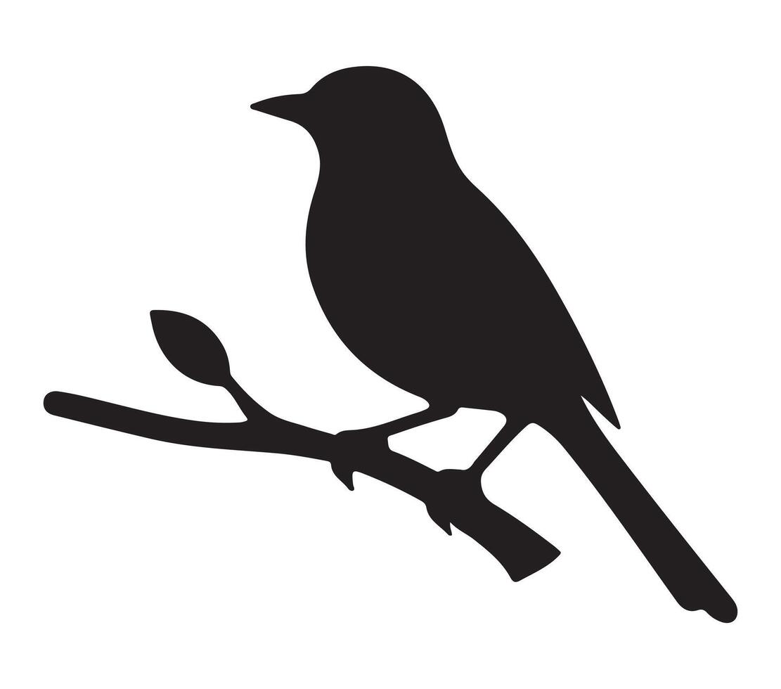 African Black-headed Oriole Black Silhouette on white background vector