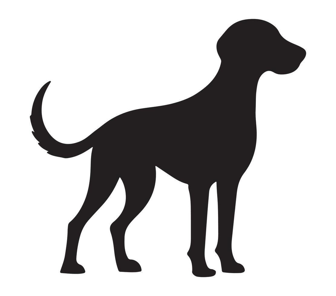 American Foxhound Black Silhouette on white background vector
