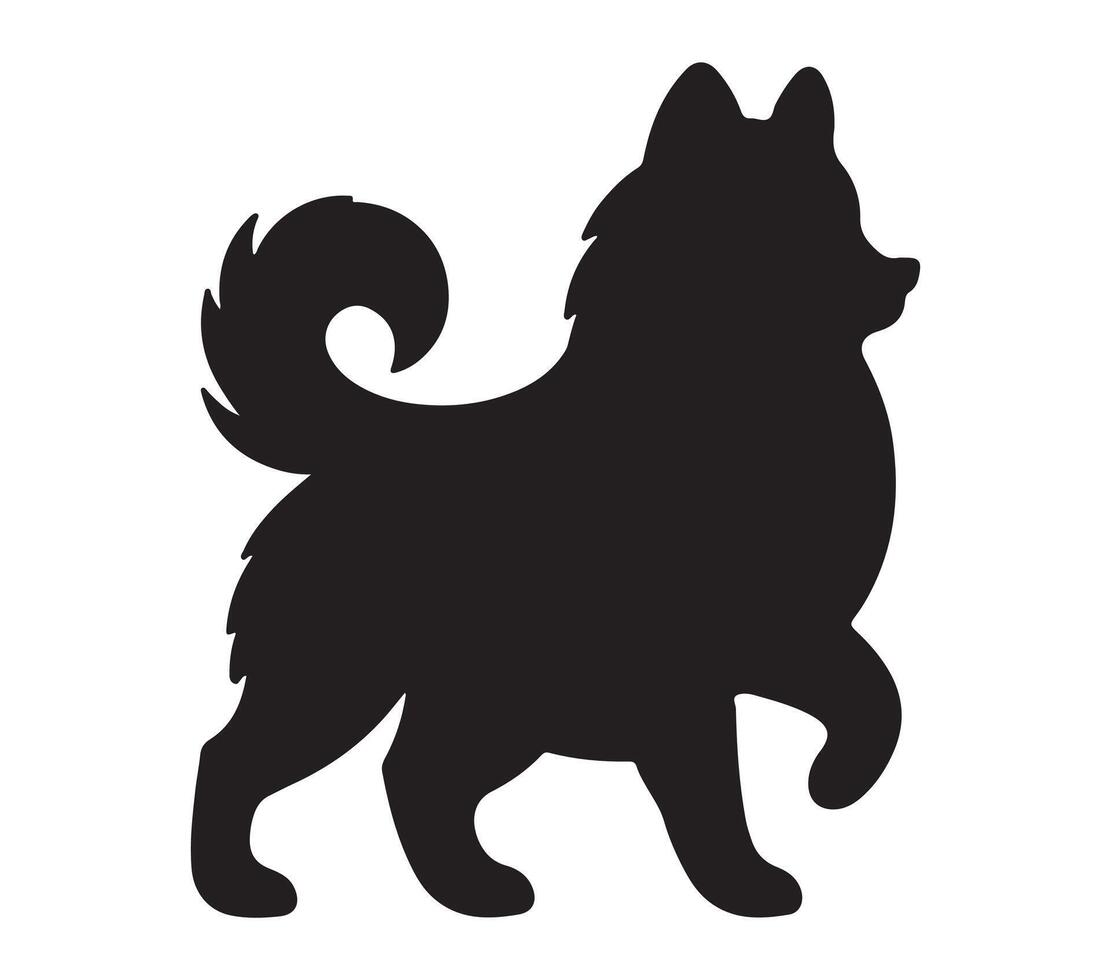 American Eskimo Black Silhouette on white background vector