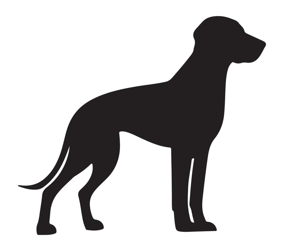 American Foxhound Black Silhouette on white background vector
