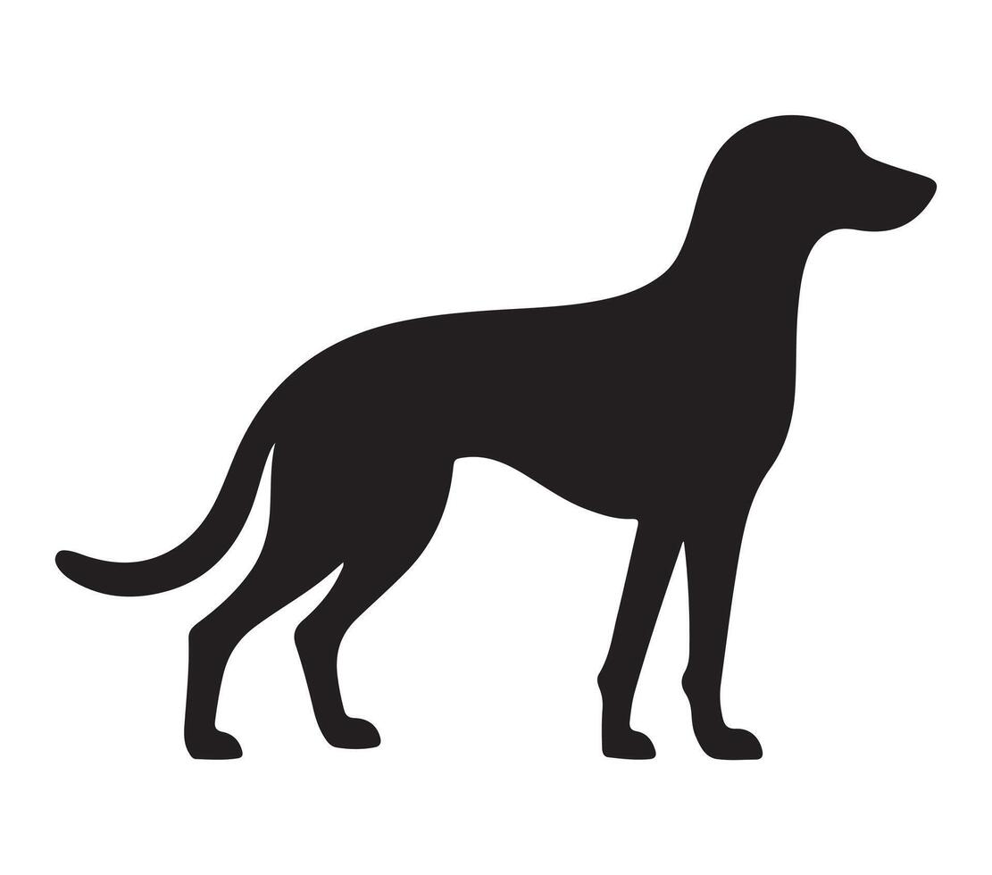 American Foxhound Black Silhouette on white background vector