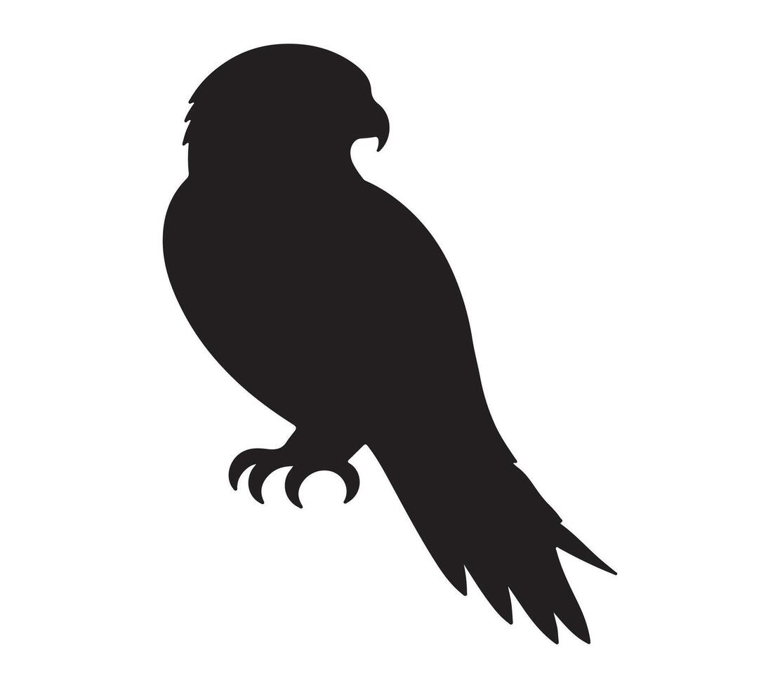 American Kestrel Black Silhouette on white background vector