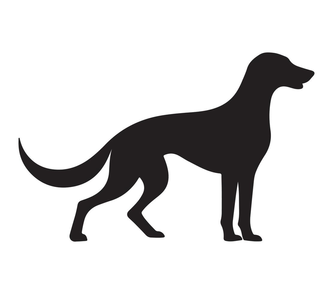American Foxhound Black Silhouette on white background vector