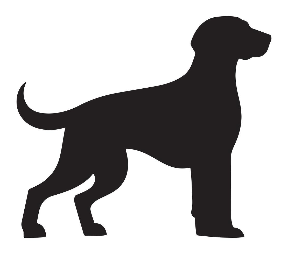 American Foxhound Black Silhouette on white background vector
