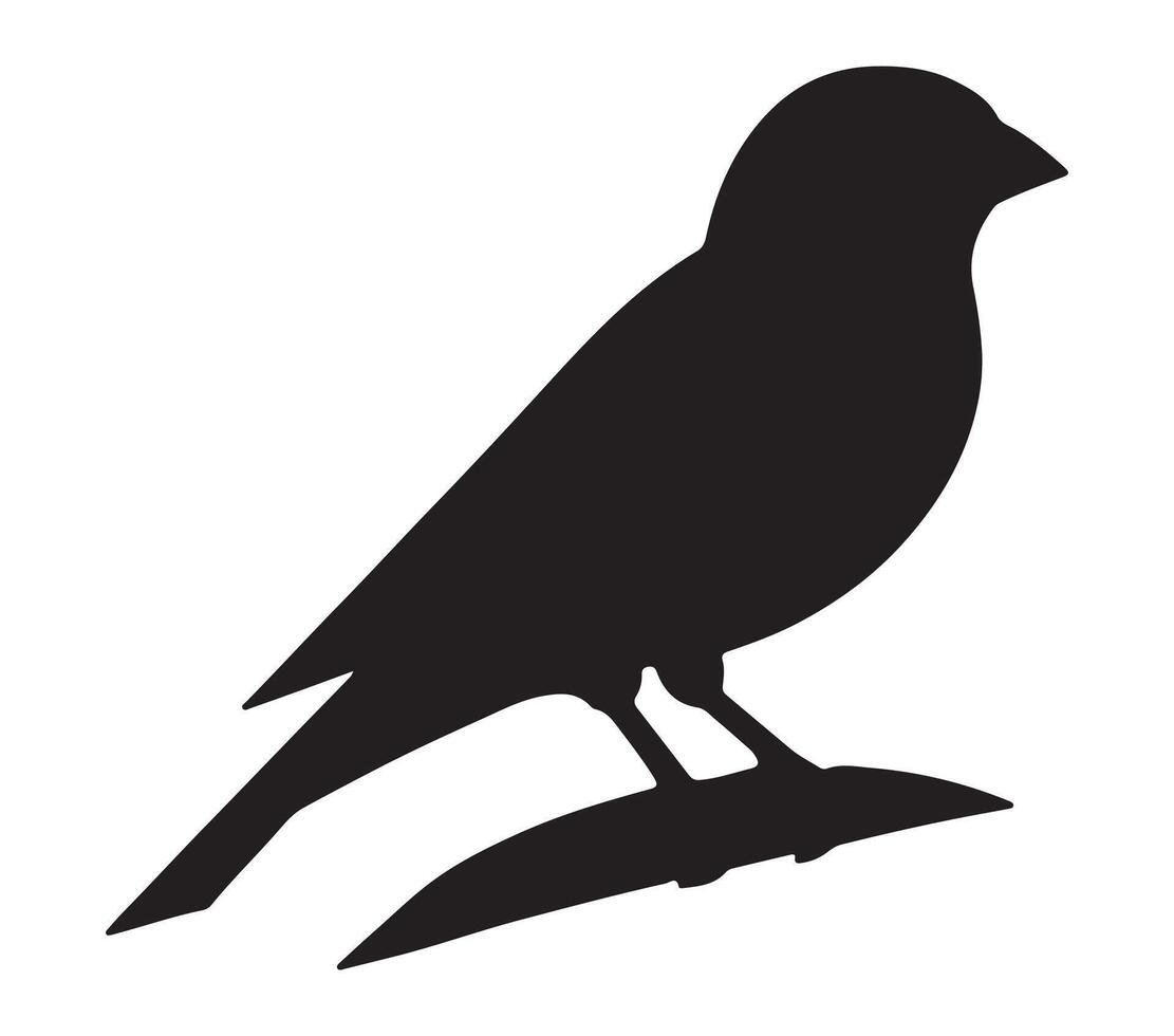 American Goldfinch Black Silhouette on white background vector