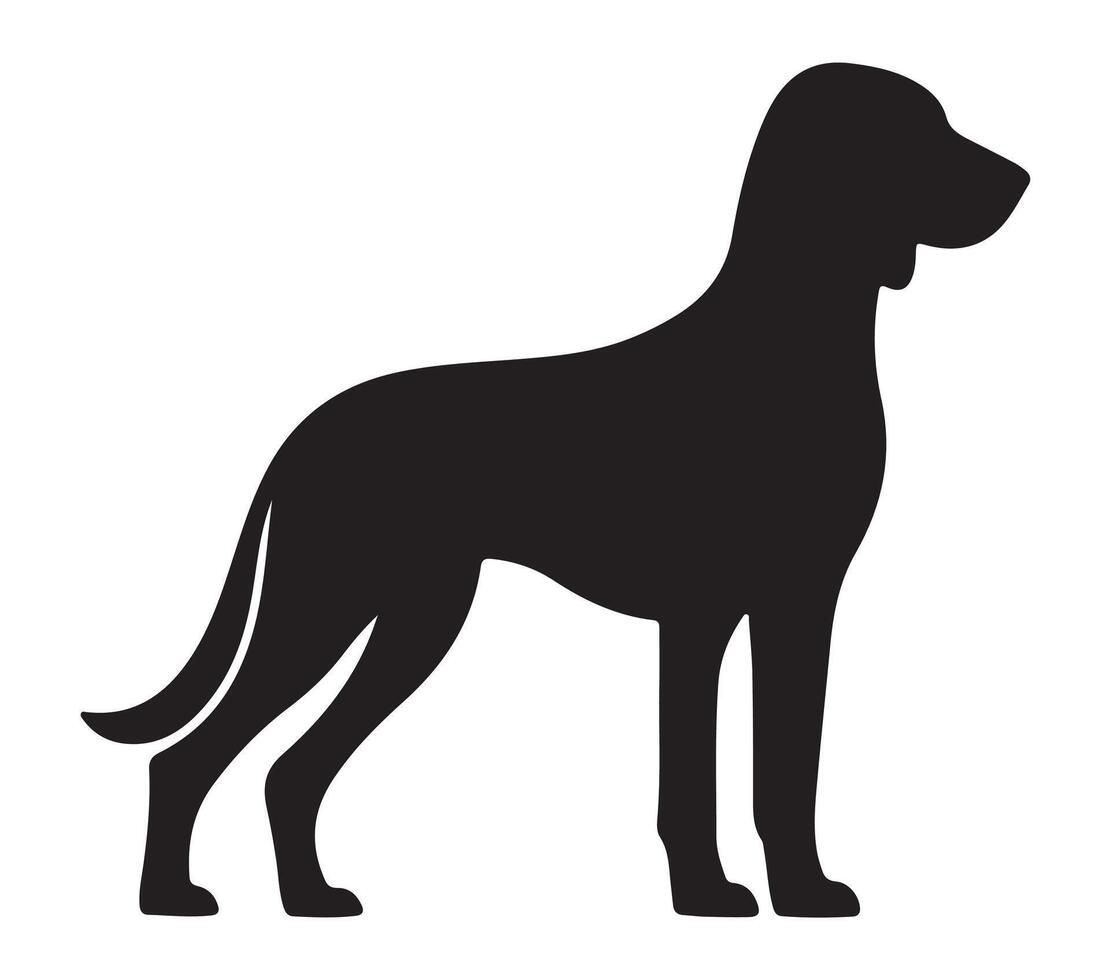American Foxhound Black Silhouette on white background vector
