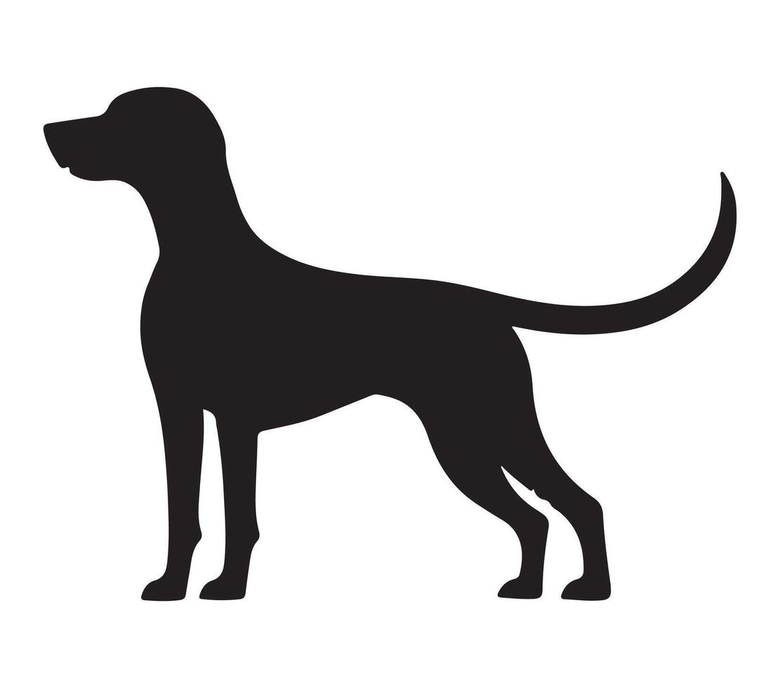 American Foxhound Black Silhouette on white background vector